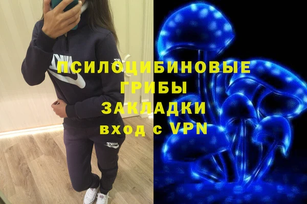 2c-b Осинники