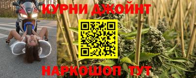 сатива Кулебаки