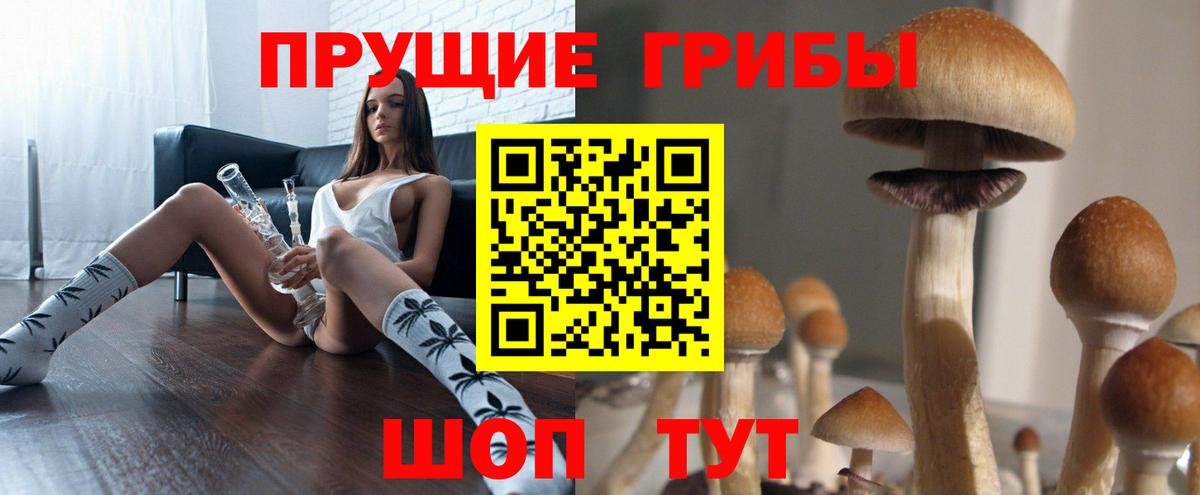 Галлюциногенные грибы прущие грибы Краснотурьинск